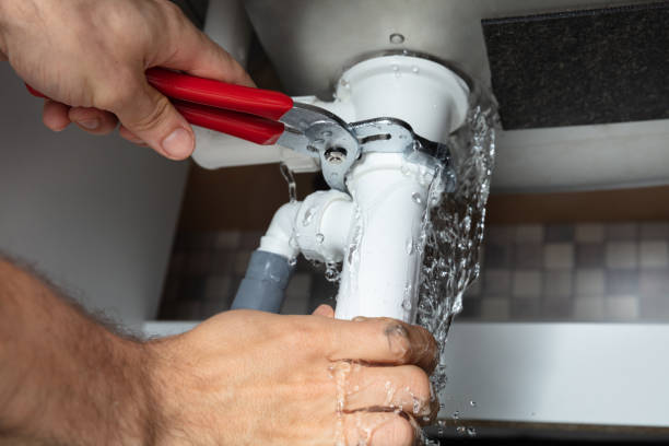 Best Professional water damage repair  in Mariemont, OH