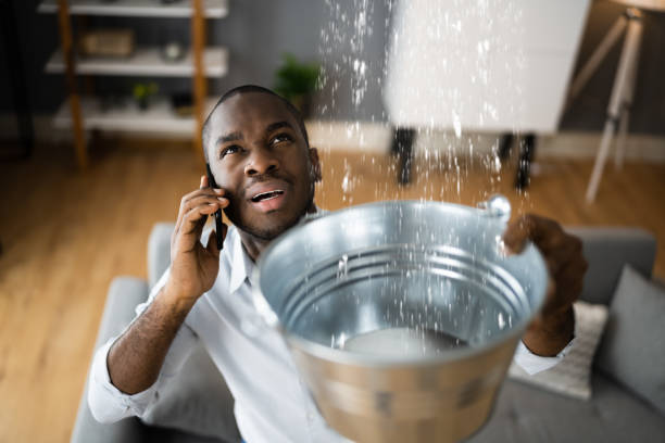 Best Water damage restoration process  in Mariemont, OH