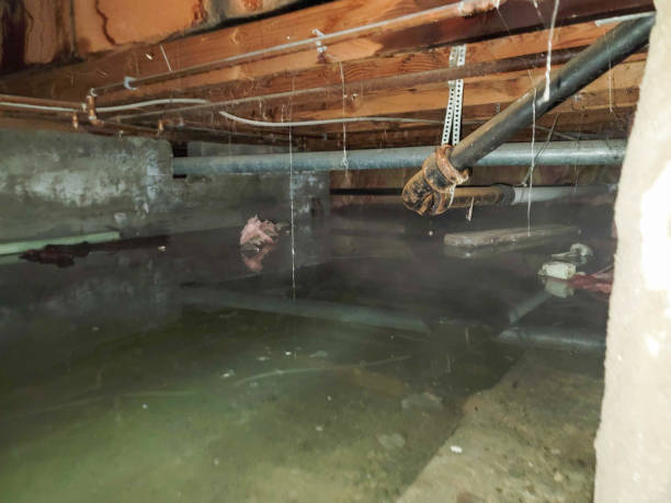 Fire Damage Restoration in Mariemont, OH