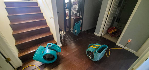 Best Water damage restoration cost  in Mariemont, OH