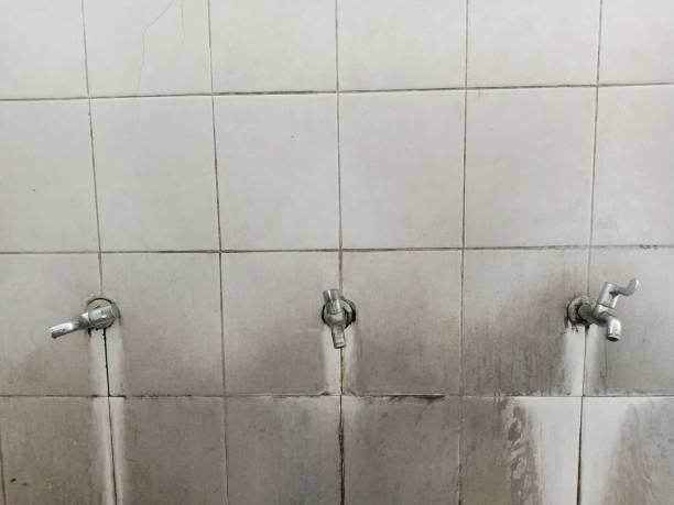Best Water damage cleanup near me  in Mariemont, OH