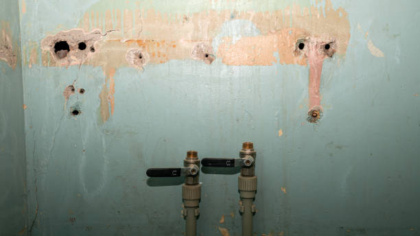 Best 24-hour water damage restoration  in Mariemont, OH