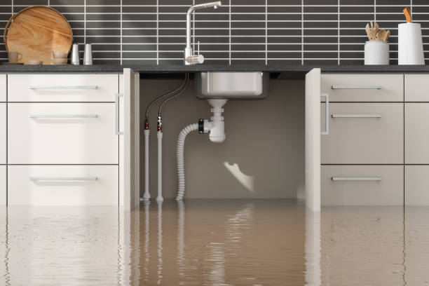 Best Residential water damage restoration  in Mariemont, OH